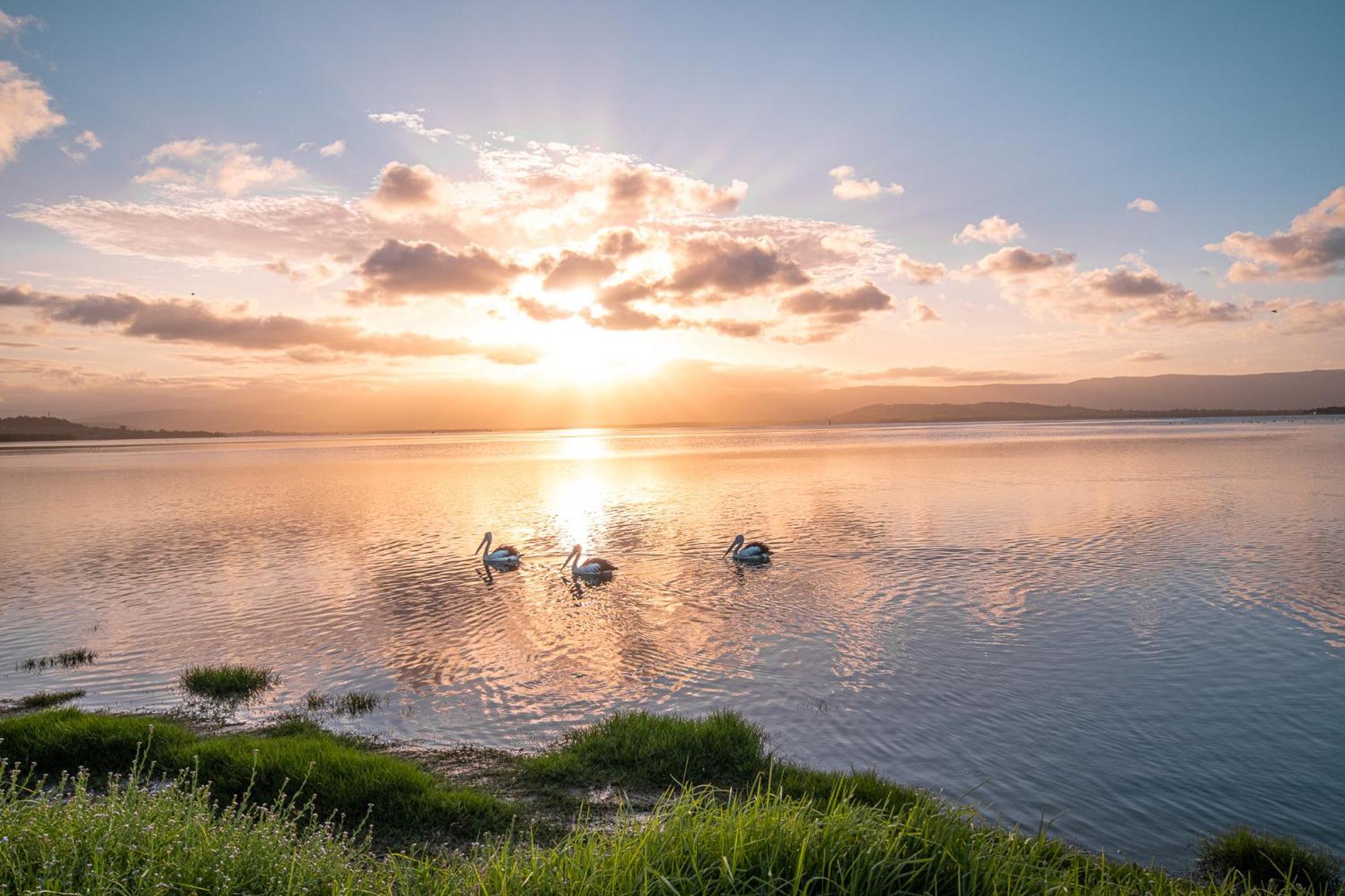 Lakeside Inn Wollongong Primbee Eksteriør bilde